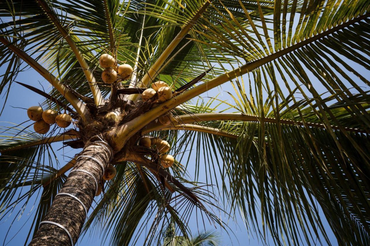 Resort Leoney Goa